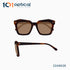 Bold Square Acetate Female Sunglasses 22A8026